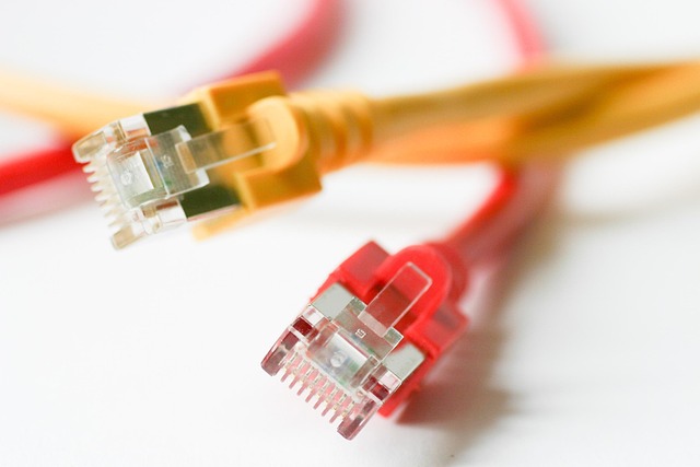様々な充電ケーブル整理グッズが並べられ、比較検討している様子
