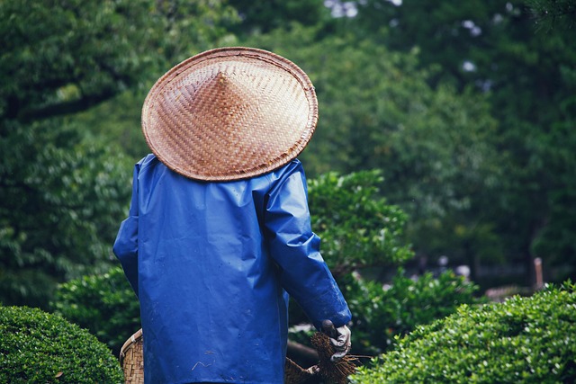 庭の手入れにうんざりしている人のイメージ