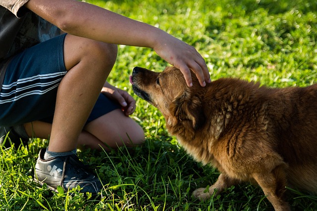 ペットの健康を気遣う飼い主