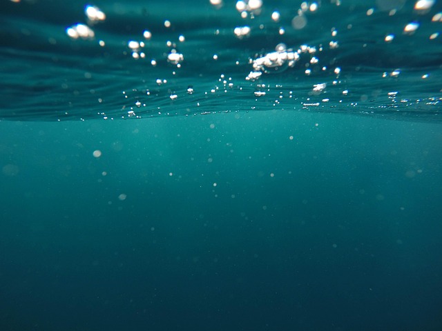 水中撮影で鮮やかな写真を撮る喜び
