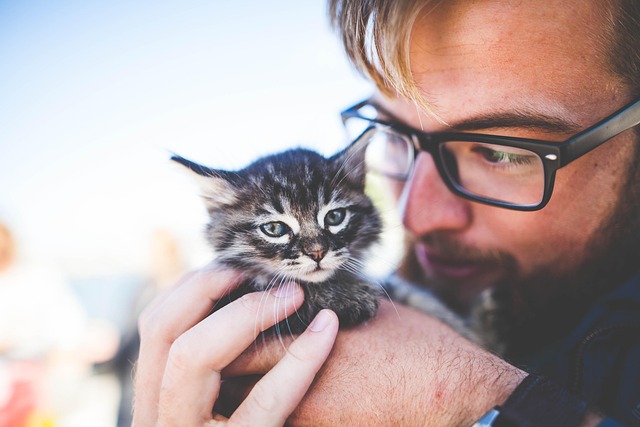 様々な種類の猫用トイレが並び、飼い主が困惑している様子