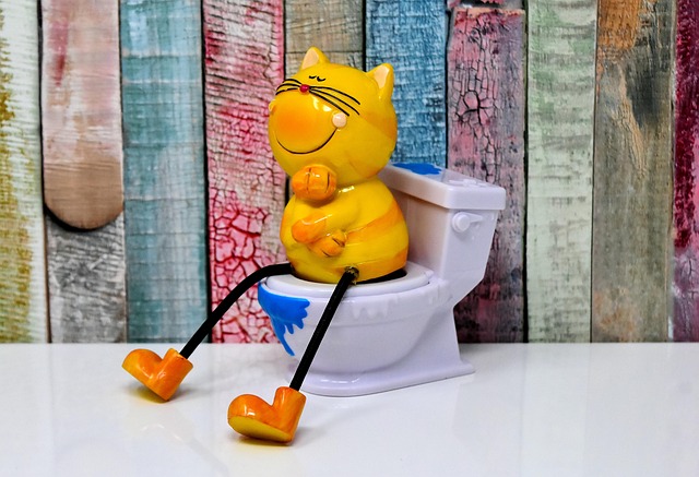 猫がトイレで排泄している様子、飼い主が優しく見守る