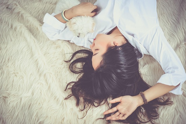 つやつやの毛並みを持つ猫を優しく撫でる飼い主の手