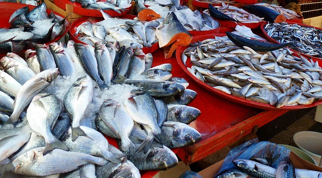 釣り上げた魚を笑顔で見せる人