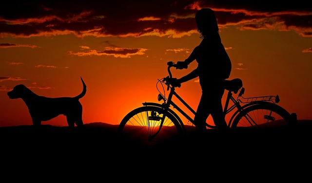 散歩グッズが散らばり、どれを選べばいいか迷っている飼い主の様子
