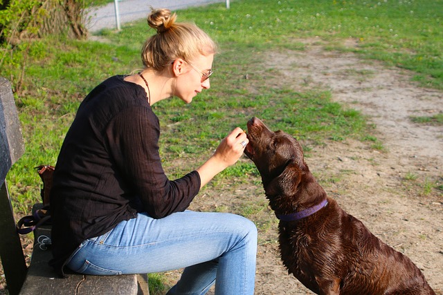 抜け毛が減り、愛犬と飼い主が笑顔で抱き合っているイメージ