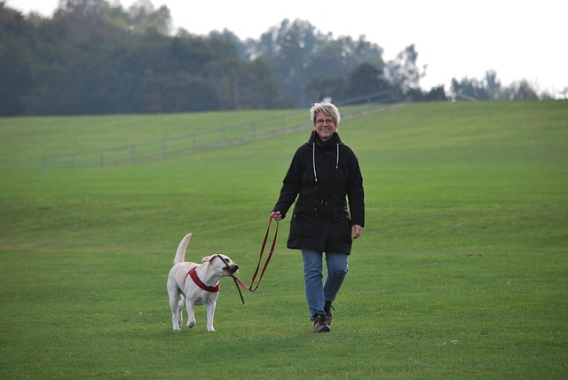 きれいな耳で元気に遊ぶ犬と飼い主