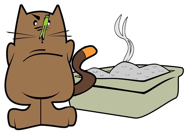 猫のトイレの臭いに悩む飼い主と猫