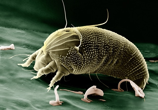 毛穴の開きに悩む女性が鏡を見ている様子