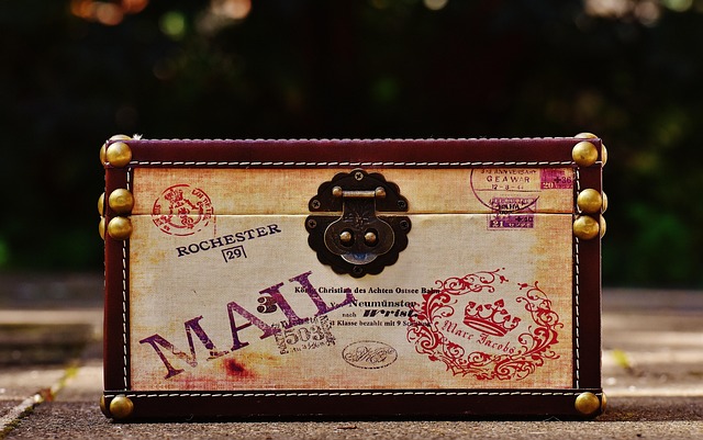 飼い主の膝の上でくつろぐ、穏やかな表情の猫