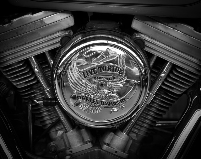 様々な種類の排気口カバーやフィルターが並べられ、どれを選べば良いか迷う様子