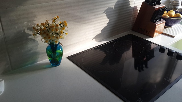 様々な炊飯器のパンフレットや情報が並べられ、比較検討している様子