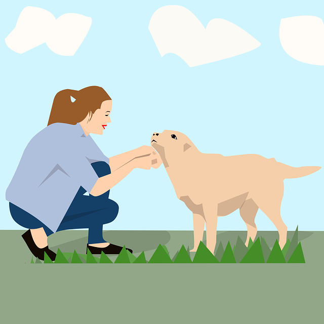 愛犬と飼い主が笑顔でしつけをしている様子