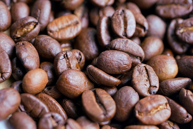 アウトドアコーヒーギアの比較表と選び方