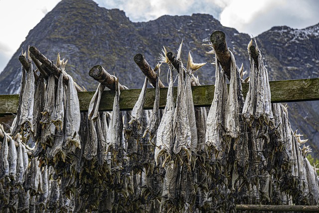 たくさんの食器乾燥グッズに囲まれて悩む人