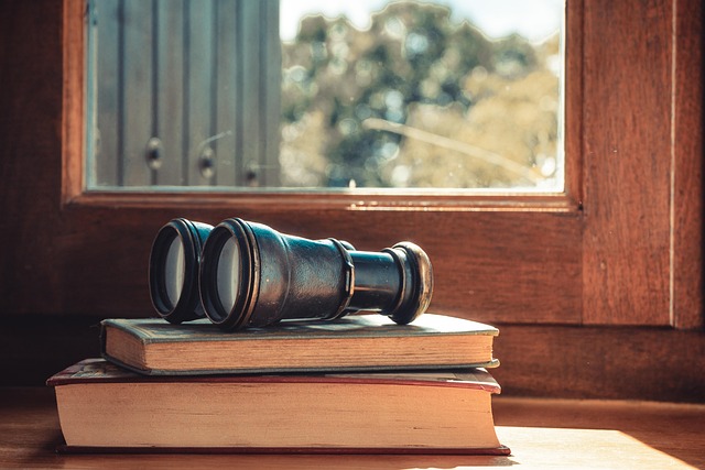 双眼鏡を覗き込み、感動した表情の人物