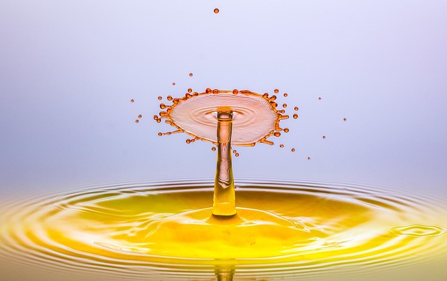 双眼鏡の機能や用途を比較する表